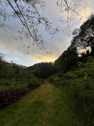 a dirt road in the middle of a field at Accommodation in Cerro Punta in Cerro Punta