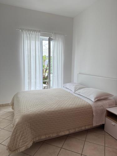 Apartment Oleander photo 2