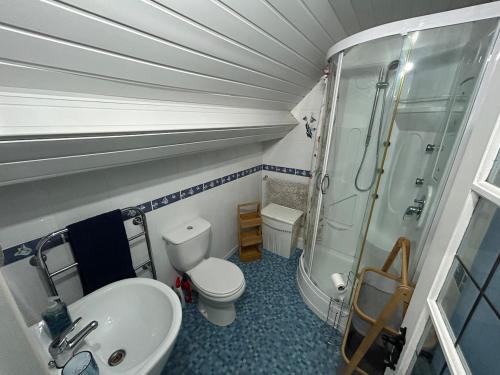 une salle de bain avec toilettes, lavabo et douche dans l'établissement Petit Parfait 3 bedroomed house, à Buais