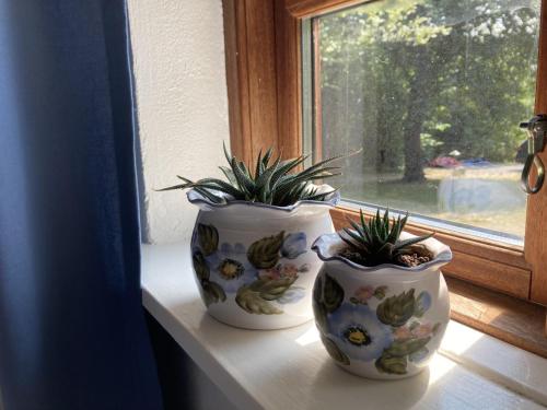 two vases with plants in them sitting on a window sill at PipOp - the place where you find your soul again in Struer