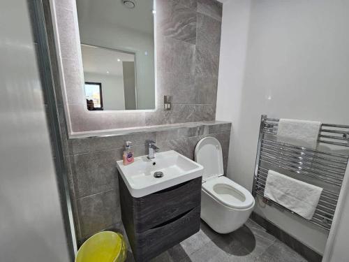 a bathroom with a sink and a toilet and a mirror at 2 Bedroom Flat in Belfast in Belfast