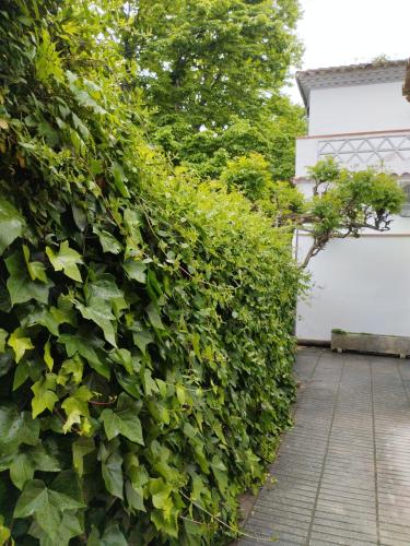 Zahrada ubytování Casa céntrica en Girona