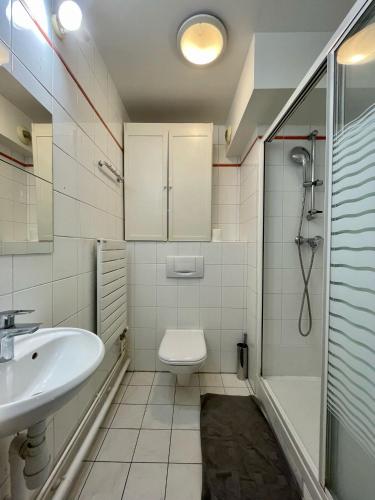 une salle de bain avec un lavabo, des toilettes et une douche dans l'établissement Appartement Montparnasse Castagnary Paris, à Paris