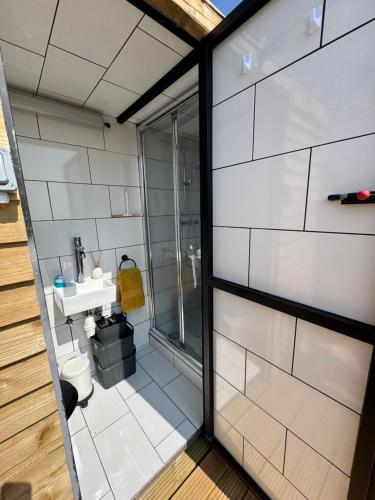 a bathroom with a toilet and a sink at The Bus On The Hill in Huntsham