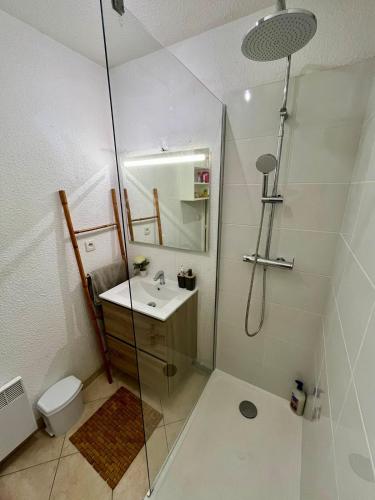 une salle de bain avec une douche, un lavabo et des toilettes dans l'établissement Chez Mya, à Montpellier