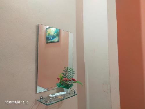 a bathroom mirror with a potted plant on a sink at Saurabh Guest House, Akkalkot in Akalkot
