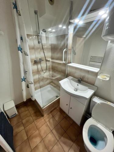 une salle de bain avec une douche, des toilettes et un lavabo dans l'établissement Studio A Balaruc les bains, à Balaruc-les-Bains