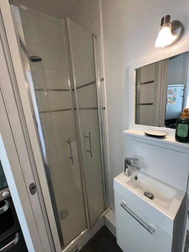 une salle de bain avec douche et lavabo dans l'établissement Beautiful Flat Paris Monceau Champs Élysée, à Paris