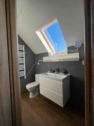 a bathroom with a sink and a toilet with a skylight at Olivia in Sianozety