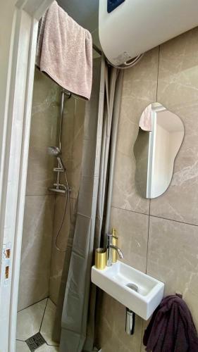 une salle de bain avec un lavabo et une douche avec un miroir dans l'établissement Nouveau appartement carré d'or, à Nice