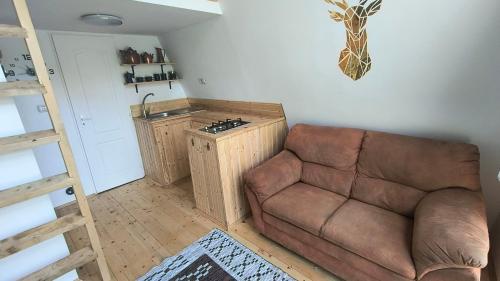 a living room with a couch and a kitchen at Retreat în padure in Buchin