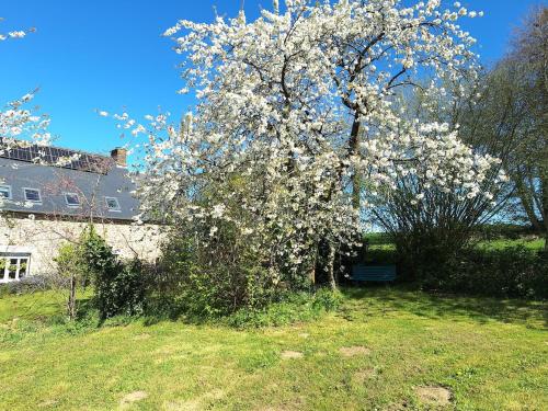 Κήπος έξω από το Au Lutin Pommé - Maison de vacances Bretagne