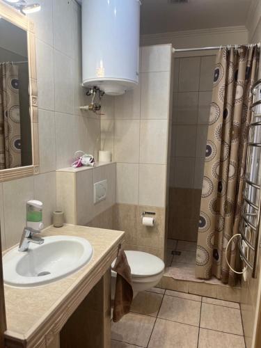 une salle de bain avec un lavabo, des toilettes et une douche dans l'établissement Villa Gracia Patince, à Patince