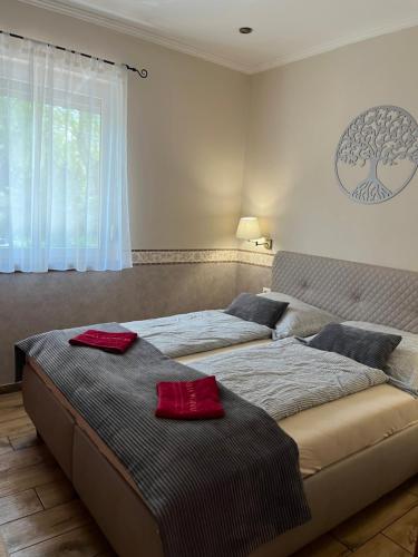 - 2 lits dans une chambre avec des oreillers rouges dans l'établissement Villa Gracia Patince, à Patince