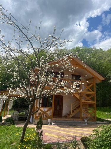 a tree with white flowers in front of a house at Карпатська Модрина in Kosiv