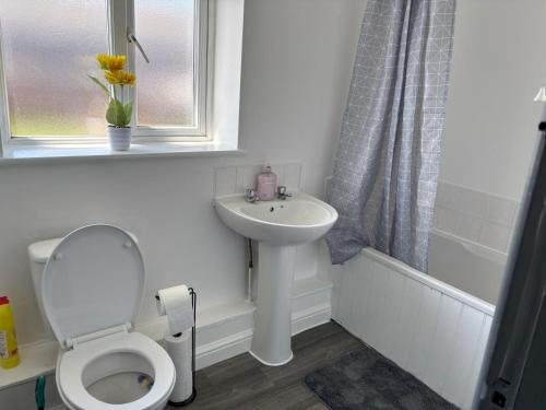 a bathroom with a toilet and a sink at Sunderland City Delight free parking in Sunderland