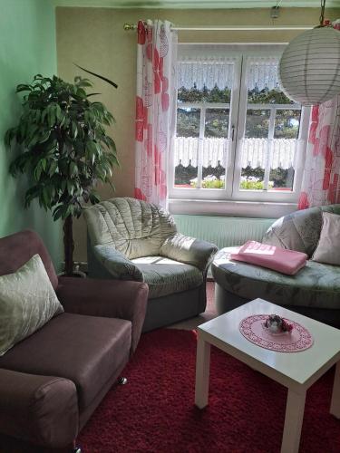 a living room with two couches and a table at Pension Kaufmann Ferienwohnung "Wolke 7" in Oberwiesenthal