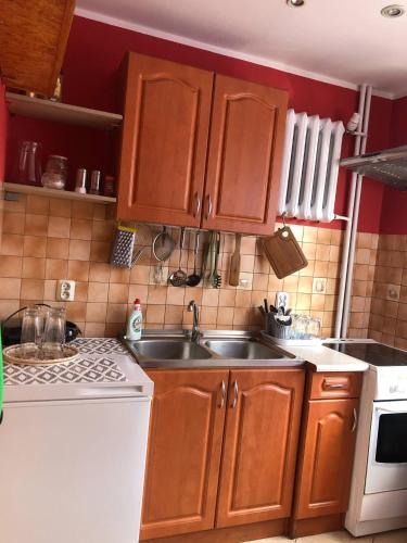 a kitchen with wooden cabinets and a sink at Mieszkanie do wynajęcia w Centrum in Olecko