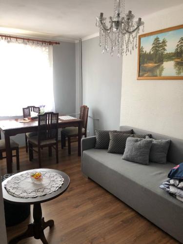 Mieszkanie do wynajęcia w Centrum