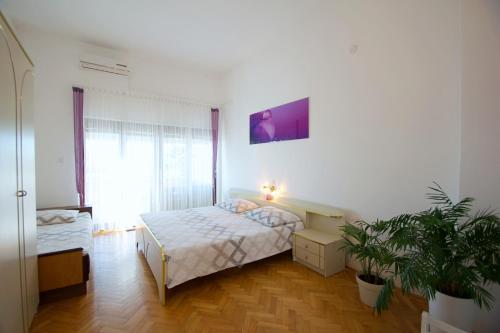 Ruža Apartments