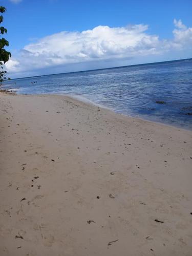 a beach with footprints in the sand and water at Le Tamarinier Bungalow 2 chambres La Pointe des Châteaux - Anse La Coulée in Saint-François