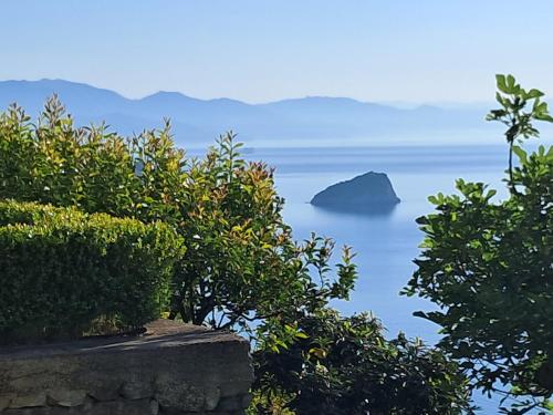 a view of the ocean through the trees at VILLA AGA in Noli
