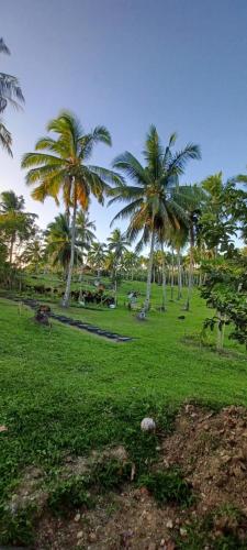 a park with palm trees and a green field at AsunEus Farm in Carmen