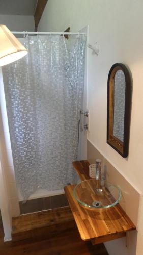 une salle de bain avec une douche en verre avec un lavabo dans l'établissement Ancienne Bergerie du Viala - Silent Nature, à Cornus