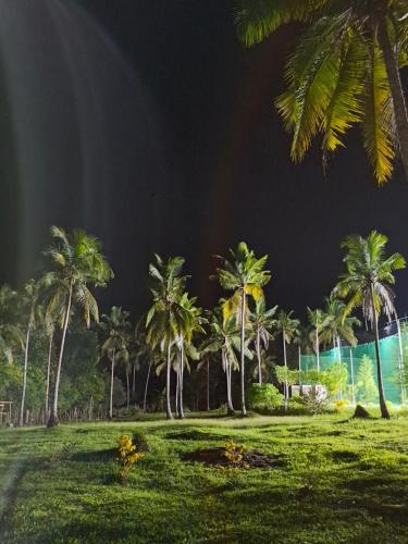 a group of palm trees in a field at night at AsunEus Farm in Carmen