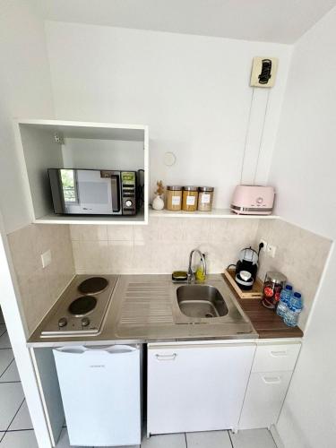 une petite cuisine avec un évier et un micro-ondes dans l'établissement La Suite Bellecombe, à Lyon