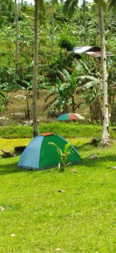 a tent sitting in the grass in a field at AsunEus Farm in Carmen
