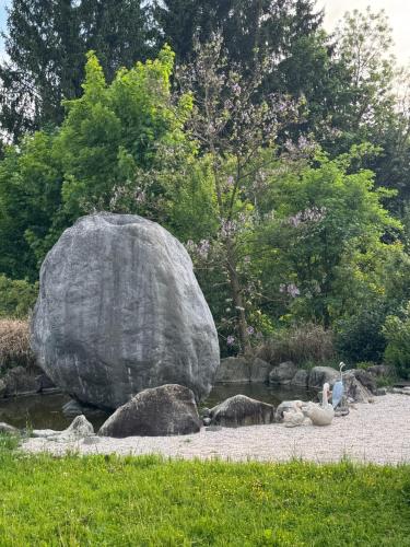 a group of ducks sitting next to a large rock at Alice Chalet Bled - Adults only in Bled