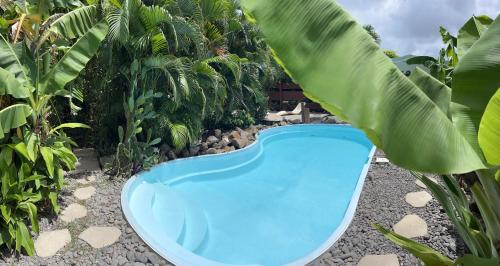 a blue swimming pool in a garden with a palm tree at Love Room by Orcéa & Spa in Sainte-Anne