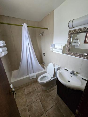 a bathroom with a white toilet and a sink at Forest Plaza Motel in Mount Forest