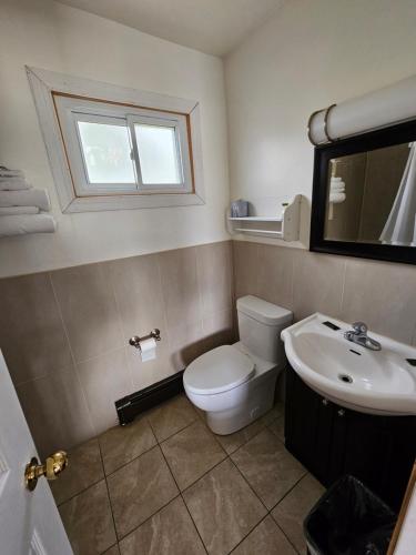 a bathroom with a toilet and a sink and a window at Forest Plaza Motel in Mount Forest