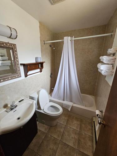 a bathroom with a toilet and a sink and a shower at Forest Plaza Motel in Mount Forest