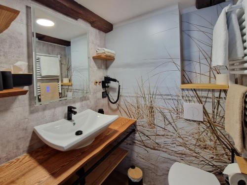 a bathroom with a sink and a mirror at Pension Zum Lukullus in Wernigerode