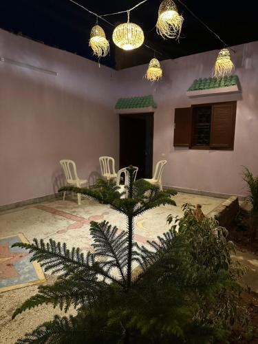 a room with chairs and a palm tree and lights at Agréable maison près de la plage in Aglou