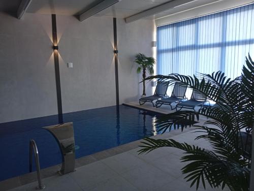 a room with a pool with chairs and a plant at Azur Perla in Sarajevo