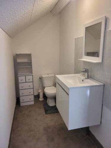 une salle de bain avec un lavabo blanc et des toilettes dans l'établissement Maison de campagne normande et accueil chevaux, à Percy