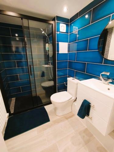 une salle de bain avec toilettes, douche et lavabo dans l'établissement Logement à deux pas du lac Carcans Maubuisson, à Carcans