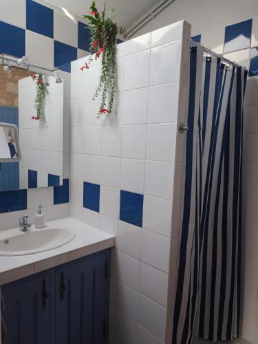 une salle de bain avec un lavabo et une douche dans l'établissement Le clos champêtre, à Longué