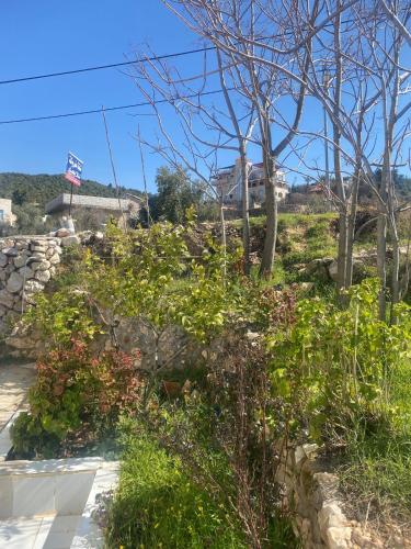 Giardino di Featured House Furnished Independent for Rent