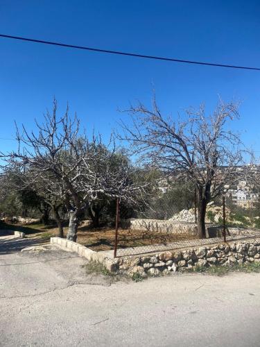 Paesaggio naturale nelle vicinanze della casa vacanze