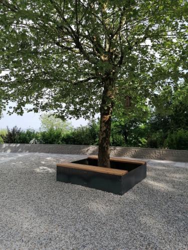 a tree in a black planter under a tree at Ferienwohnung Schuhmann Therme Aquapulco Ikuna Erlebnispark Zoo Schmiding 20 min mit Auto entfernt mit Wintergarten und Garten ab 3 Nächte buchbar in Hinzenbach