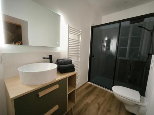 Un baño con un lavabo blanco y un inodoro. en Gîte Champagne Philippe Moutardier - Chambre Cépage, en Chézy-sur-Marne