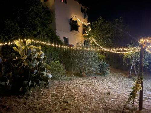 a fence with christmas lights in front of a house at La Casa dei Fichi in Gambassi Terme