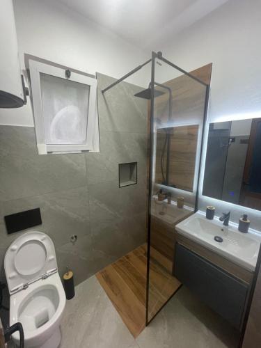 a bathroom with a shower and a toilet and a sink at Private House Velipoj in Velipojë