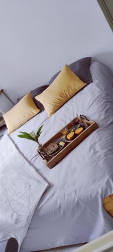 - un plateau de nourriture au-dessus du lit dans l'établissement Studio confort montagne, à Aulus-les-Bains