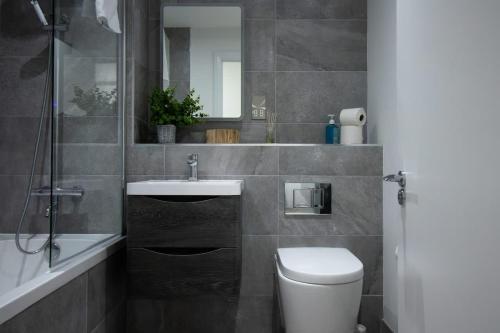 a bathroom with a toilet and a sink and a mirror at Beautiful 3Bed Flat in Belfast City Centre in Belfast